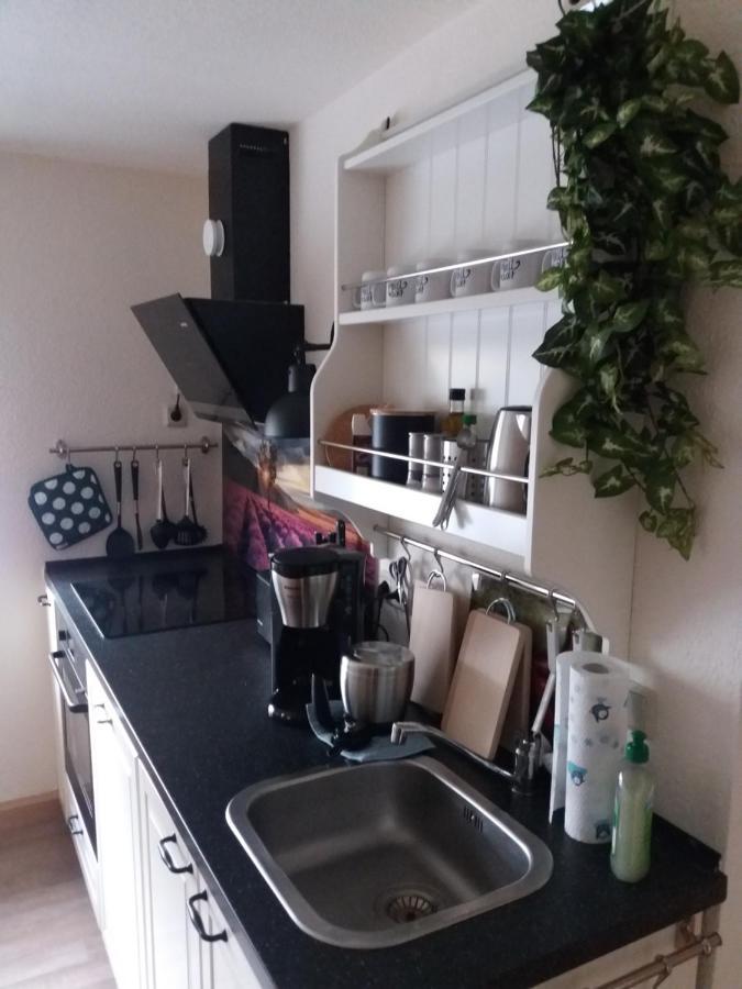 Ferienwohnung Auf Dem Land Dittersbach Bagian luar foto
